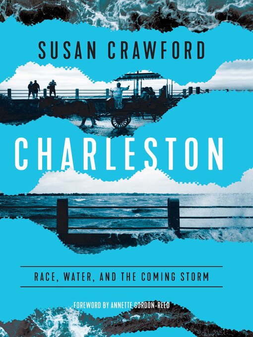 Title details for Charleston by Susan Crawford - Available